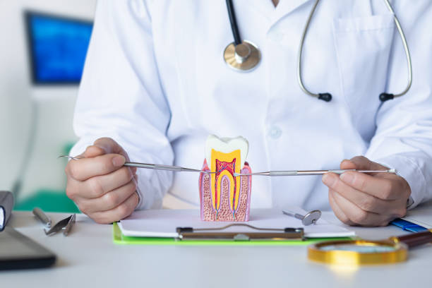 Best Emergency Dental Care for Broken or Chipped Teeth in Mcnair, VA
